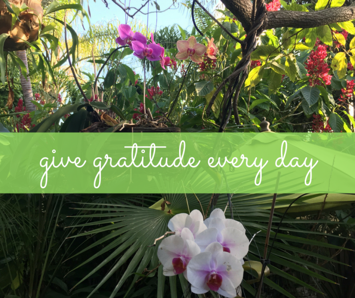 gratitude 5 minutes a day