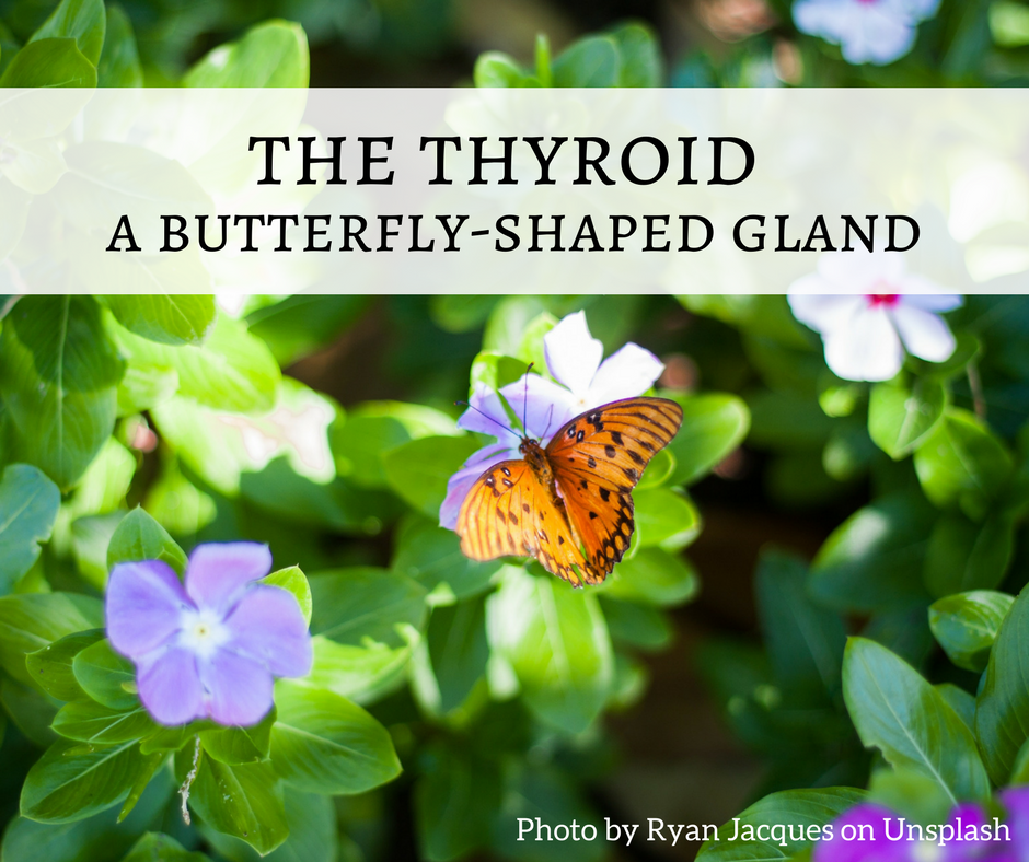 thyroid-issues-a-pain-in-the-neck-belavie